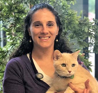 Dr. Alison St. John, Norristown Veterinarian