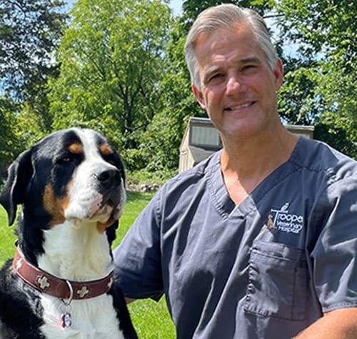 Dr. Jeffrey Luetke, Norristown Veterinarian